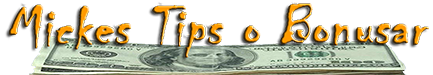 spelarBonus